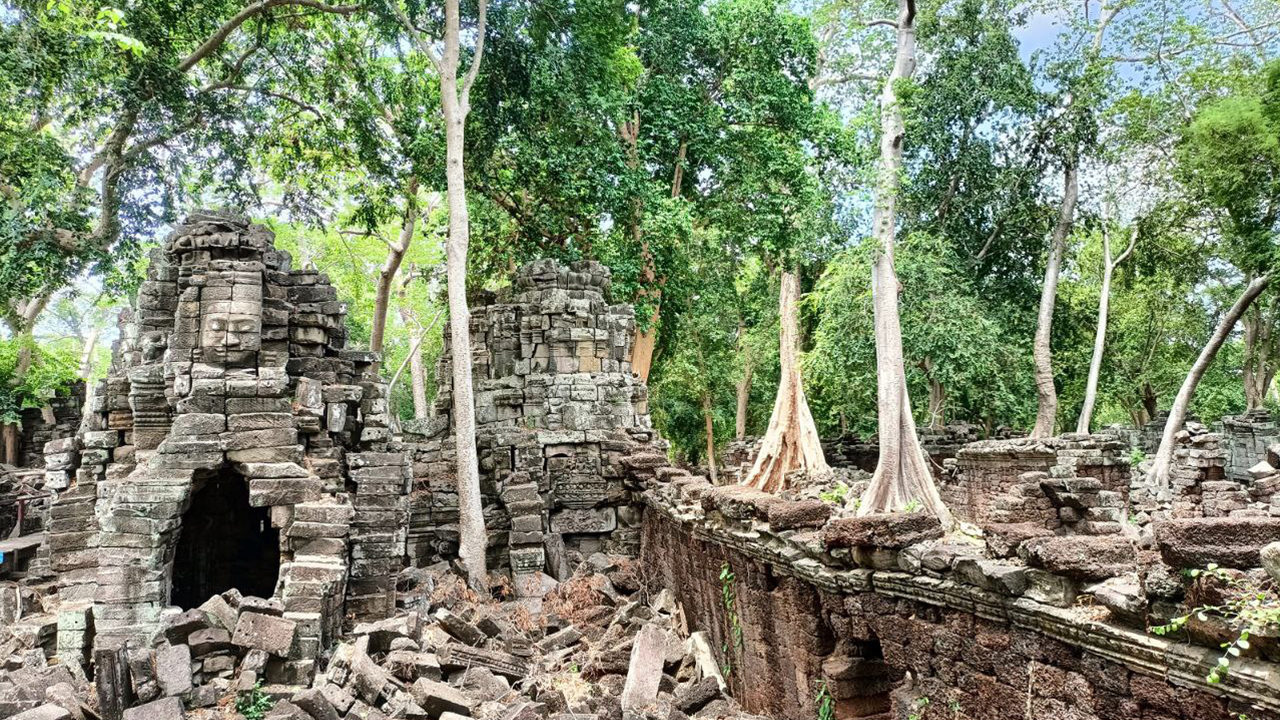 A mysterious face tower at Banteay Chhmar Temple rises through the jungle, its ancient stone carvings partially covered by massive tree roots that have reclaimed the temple over centuries.