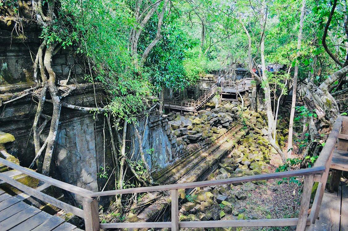 Ancient stone ruins of Beng Mealea surrounded by lush jungle and towering trees.