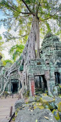 Ta Prohm